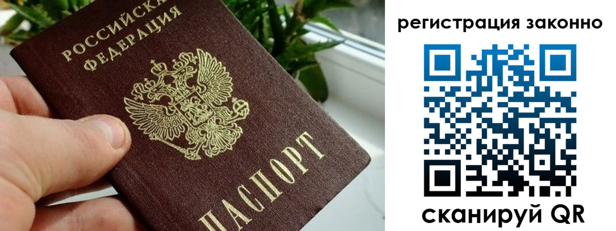 прописка гарантия в Шадринске